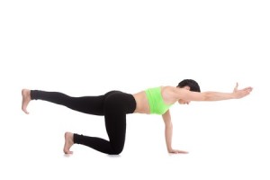 bird dog is an exercise to strengthen your lower back