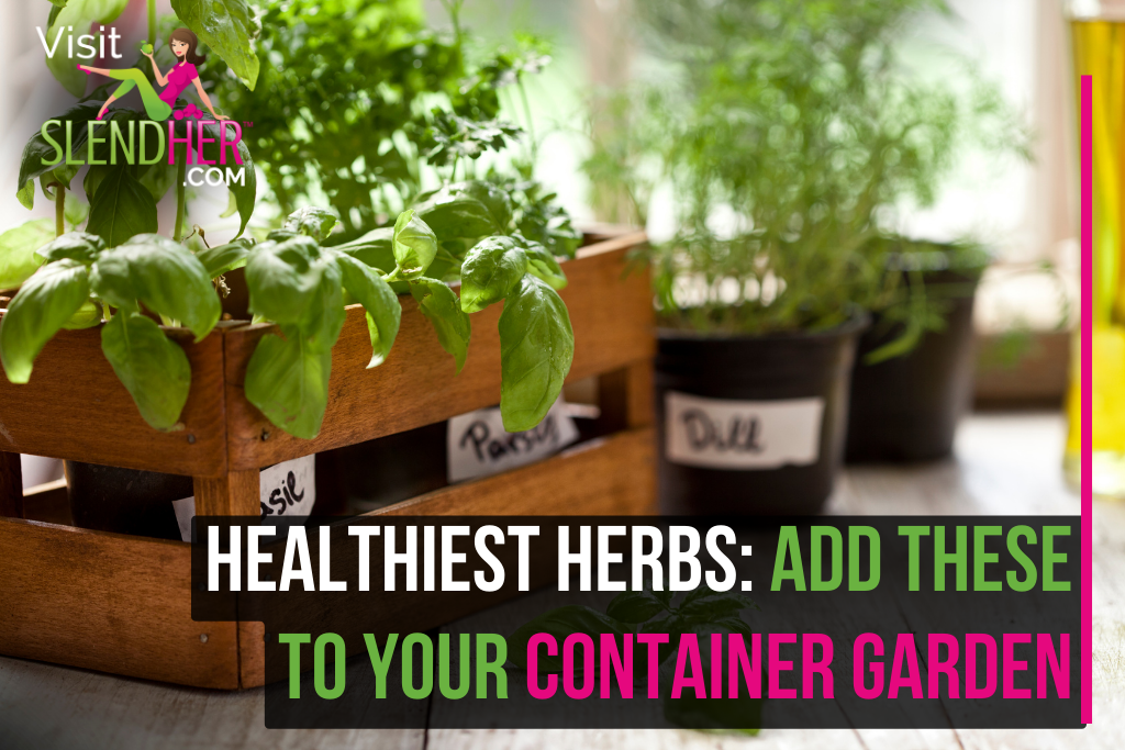 Healthiest Herbs: Add These To Your Container Garden