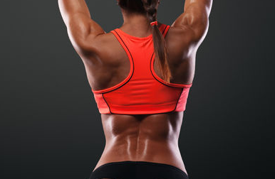 The erector spinae are two muscles that appear like two side-by-side cylinders where the spine and pelvis connect.
