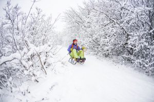 A girl on a sled rides from the mountain.