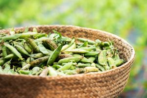 Green peas are high in protein!