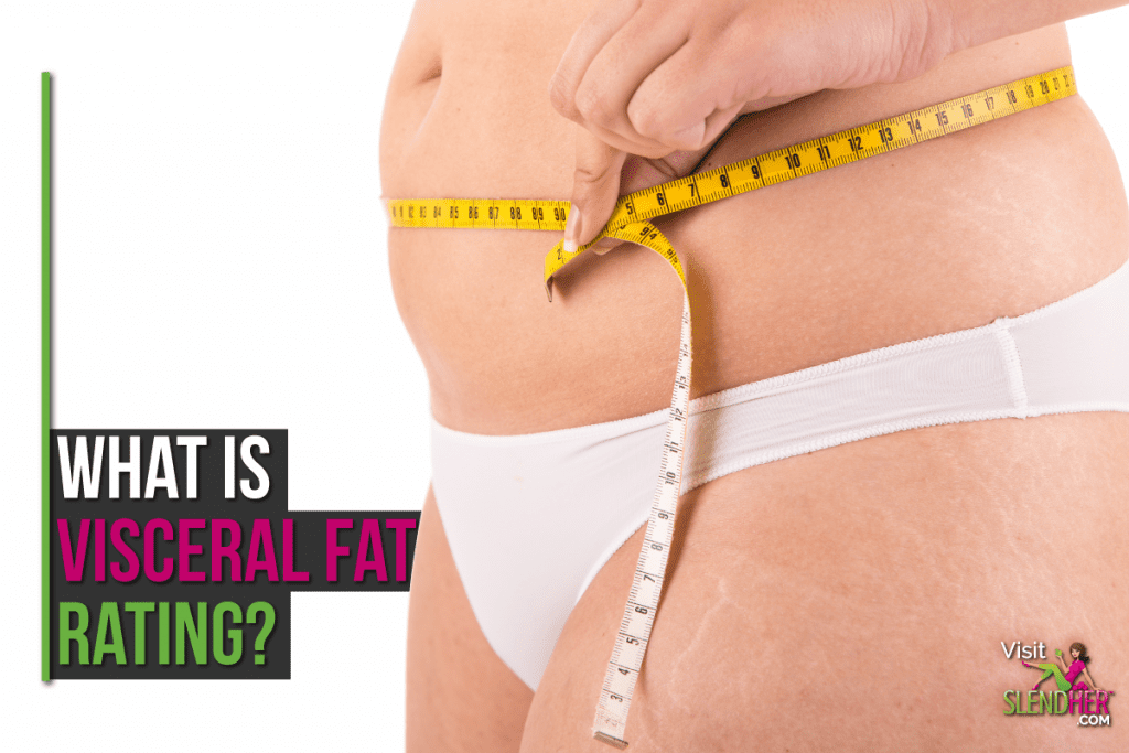 What is the Visceral Fat Rating?
