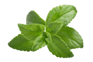 Stevia
