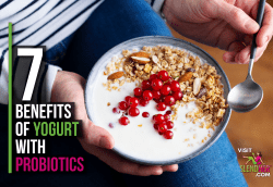 Yogurt with probiotics