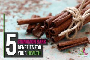 Cinnamon Bark