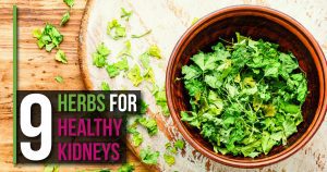 Herbs for healthy kidneys - Slendher