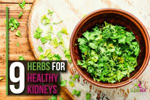 Herbs for healthy kidneys - Slendher